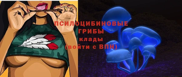 спиды Магас