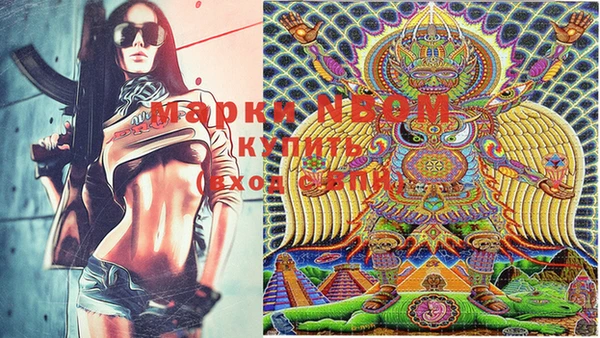 спиды Магас