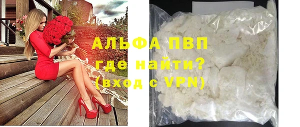 спиды Магас
